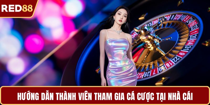 Hướng dẫn thành viên tham gia cá cược tại nhà cái