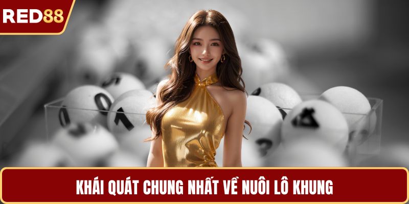 Khái quát chung nhất về nuôi lô khung
