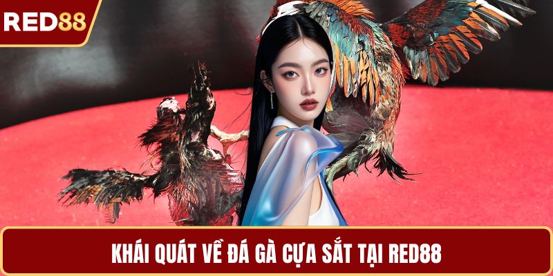Khái quát về đá gà cựa sắt tại RED88