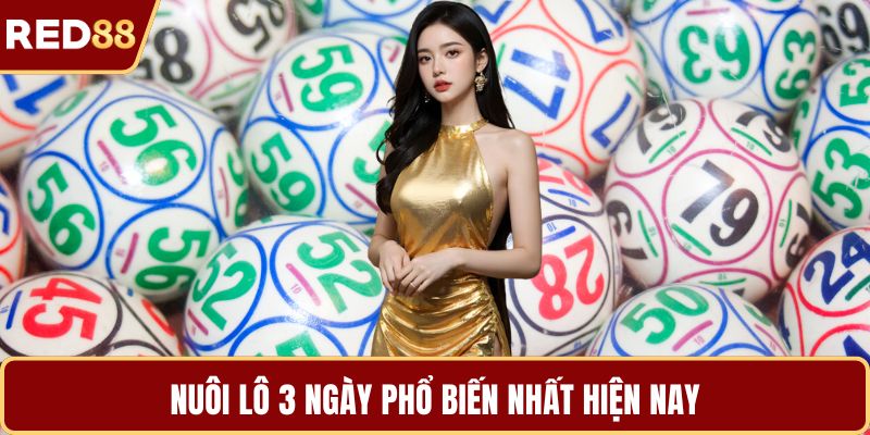 Nuôi lô 3 ngày phổ biến nhất hiện nay