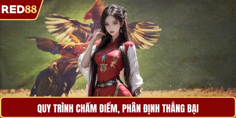 Quy trình chấm điểm, phân định thắng bại