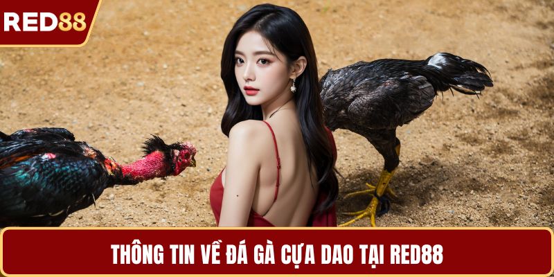 Thông tin về đá gà cựa dao tại RED88